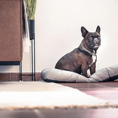 Elysium Am Rosengarten * باد إلستر