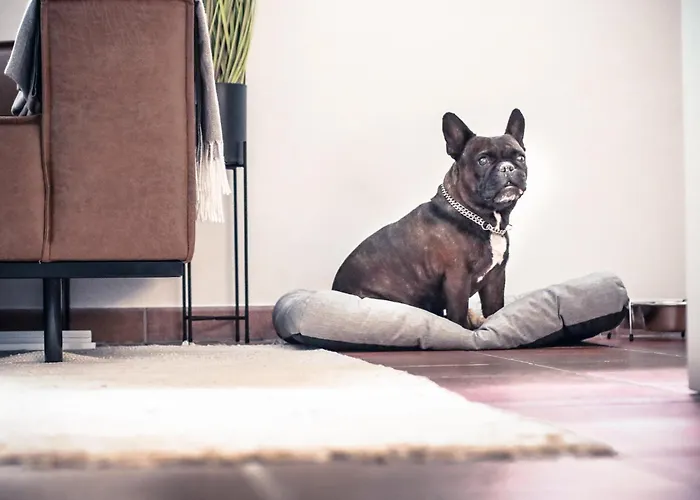 Elysium Am Rosengarten * باد إلستر